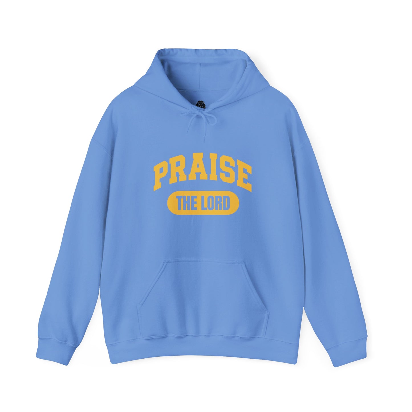 Inspirational hoodie featuring "PRAISE THE LORD" in large font