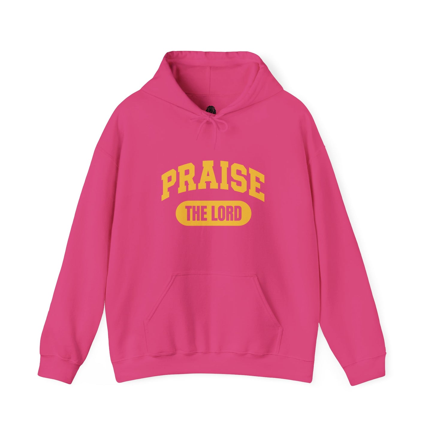 Inspirational Christian hoodie with "PRAISE THE LORD" printed