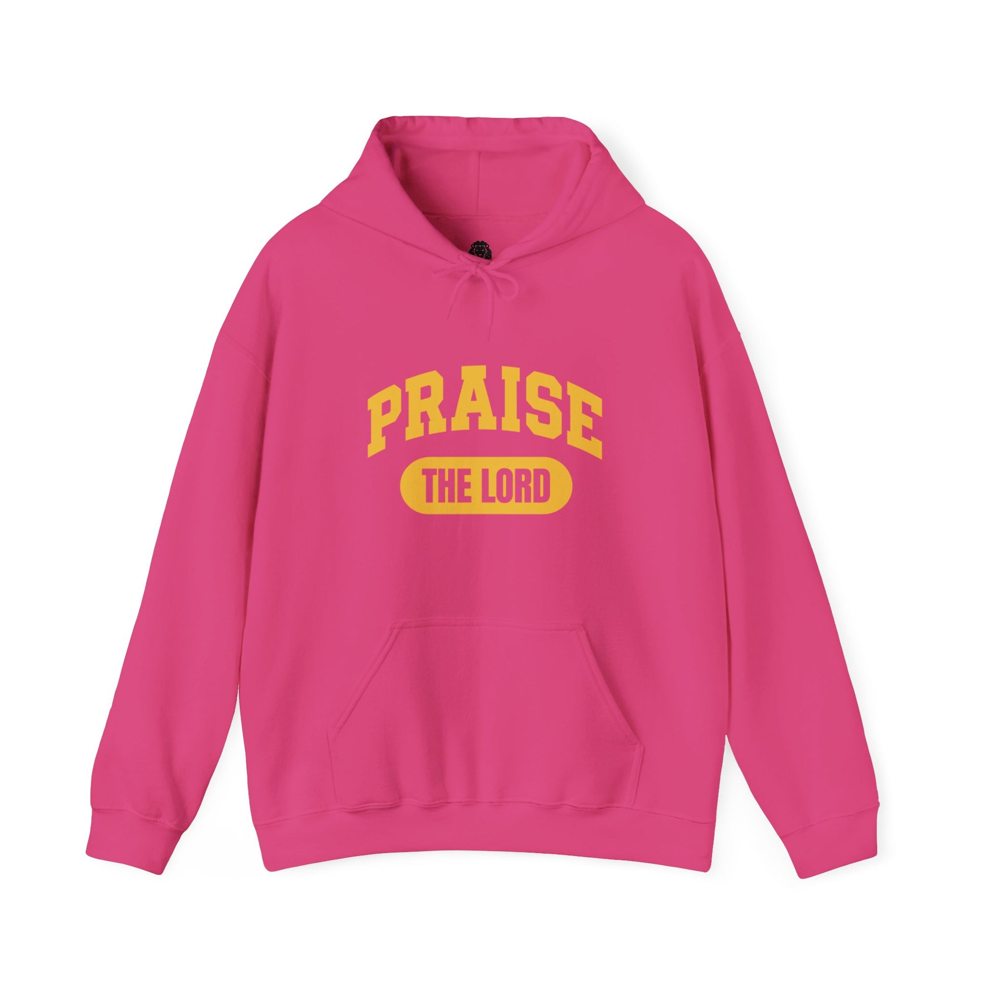 Inspirational Christian hoodie with "PRAISE THE LORD" printed