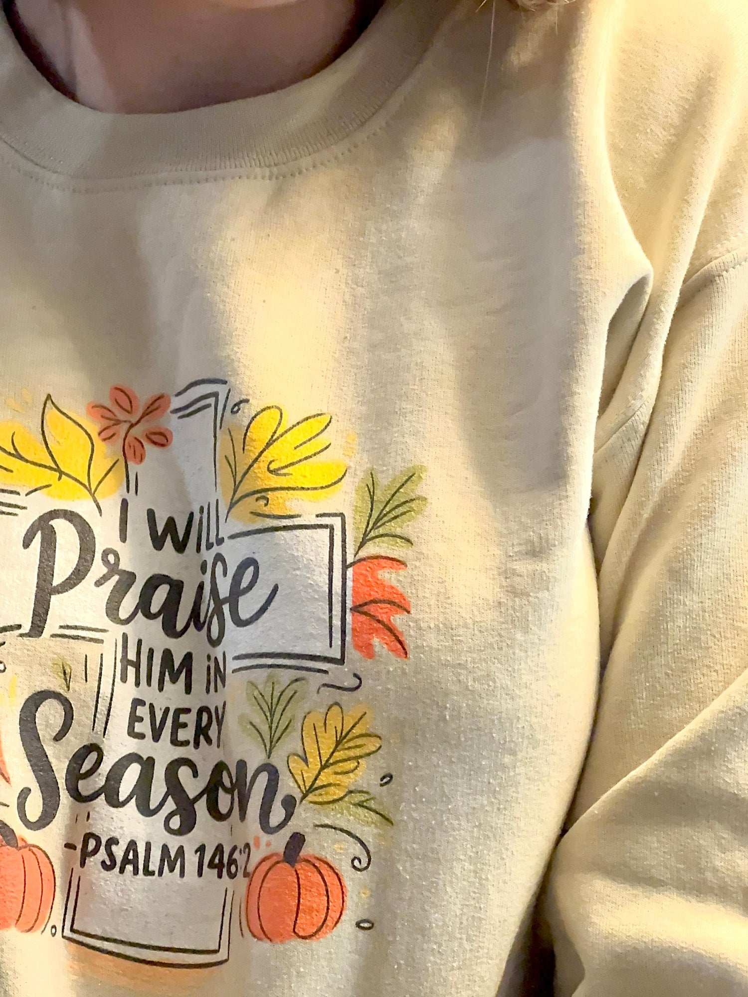 I Will Praise Him in Every Season Sweatshirt - Holy Looks